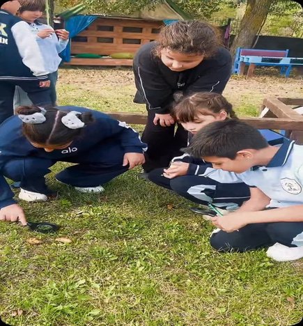 🌿 Canlıların Sınıflandırılması | Gözlemliyor, Keşfediyor, Öğreniyoruz! 🐜🌳