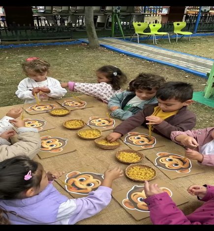 🐒🌿 Sevimli Maymunumuzun Bir Günü!