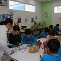TEKNOLOJİK GELİŞİM MODELİ