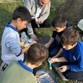 ZANAAT VE BECERİ GELİŞTİRME MODELİ