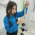 TEKNOLOJİK GELİŞİM MODELİ