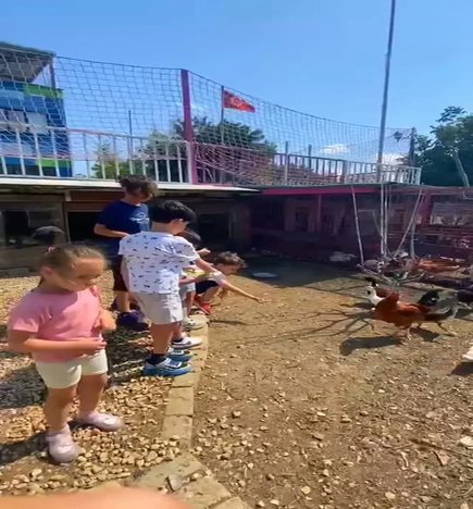 Doğal Yaşamı Öğrenme etkinliklerimiz