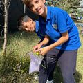 SANATSAL DUYARLILIĞI GELİŞTİRME MODELİ