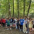 SOSYAL VE KÜLTÜREL GELİŞİM MODELİ